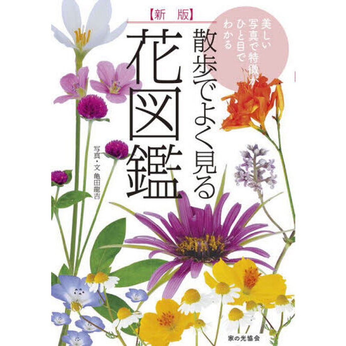 散歩でよく見る花図鑑　美しい写真で特徴がひと目でわかる「新版」