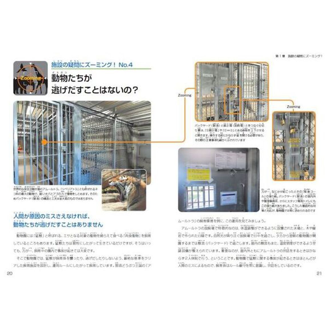 ズーミング！動物園　疑問を拡大していけば仕組みが見えてくる！