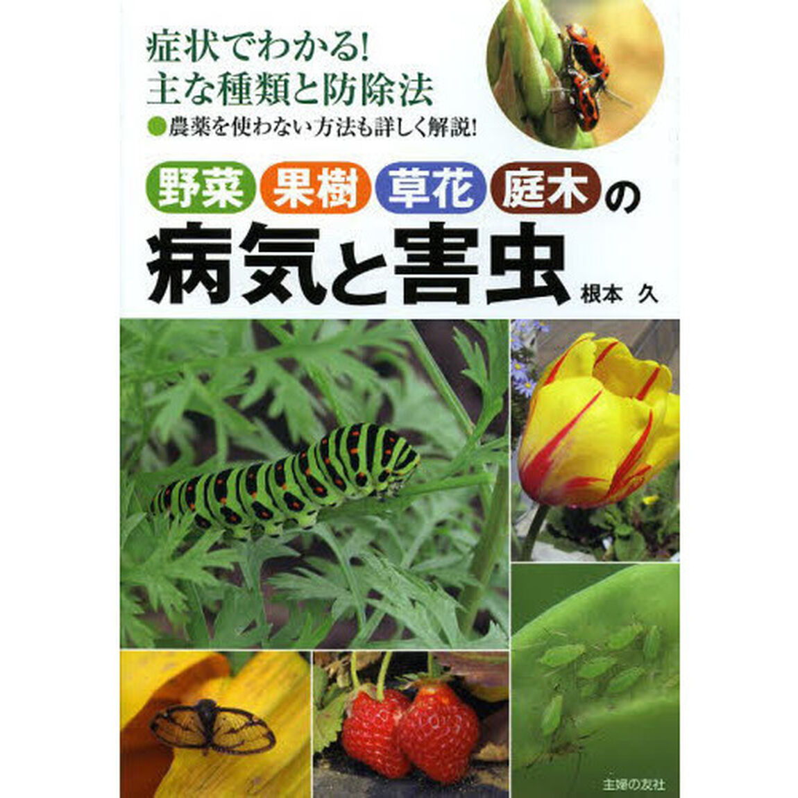 野菜果樹草花庭木の病気と害虫　症状でわかる！主な種類と防除法　農薬を使わない方法も詳しく解説！