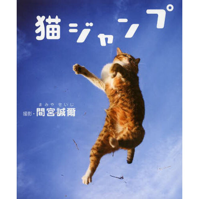 猫ジャンプ