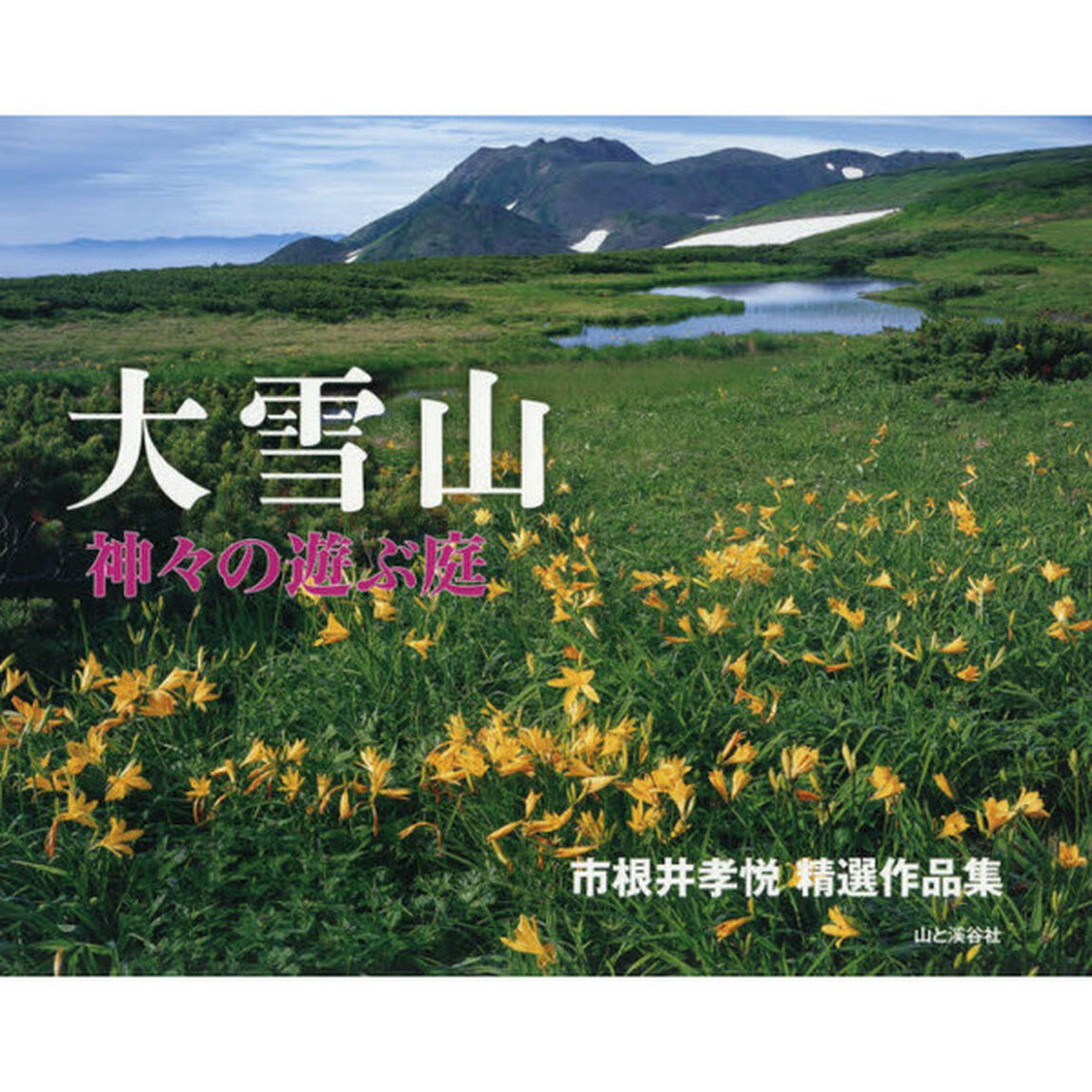 大雪山神々の遊ぶ庭　市根井孝悦精選作品集