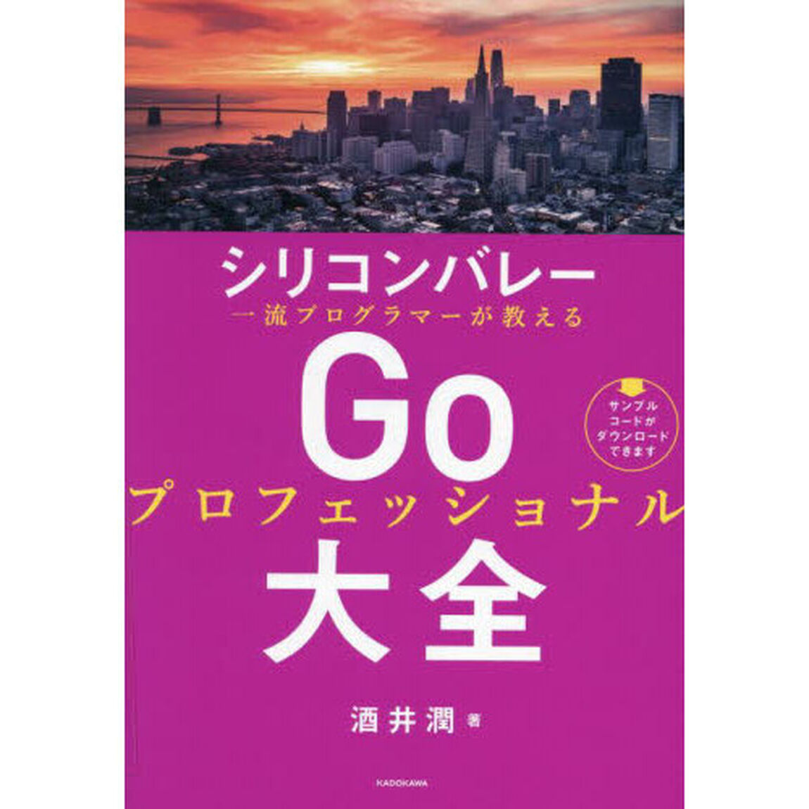 シリコンバレー一流プログラマーが教えるＧｏプロフェッショナル大全
