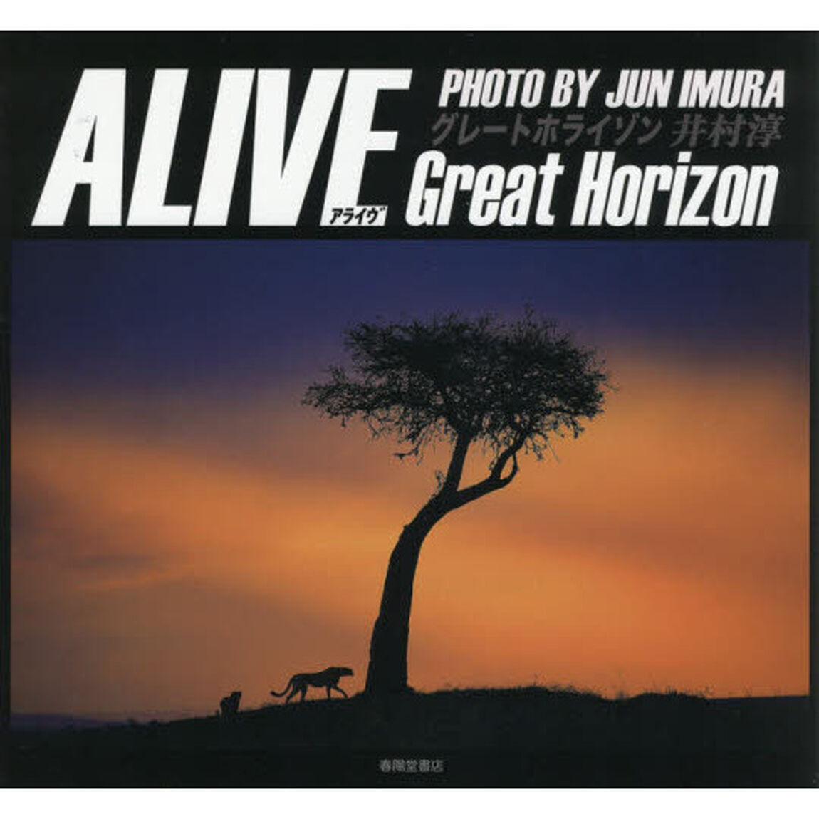 ＡＬＩＶＥ　Ｇｒｅａｔ　Ｈｏｒｉｚｏｎ　井村淳写真集