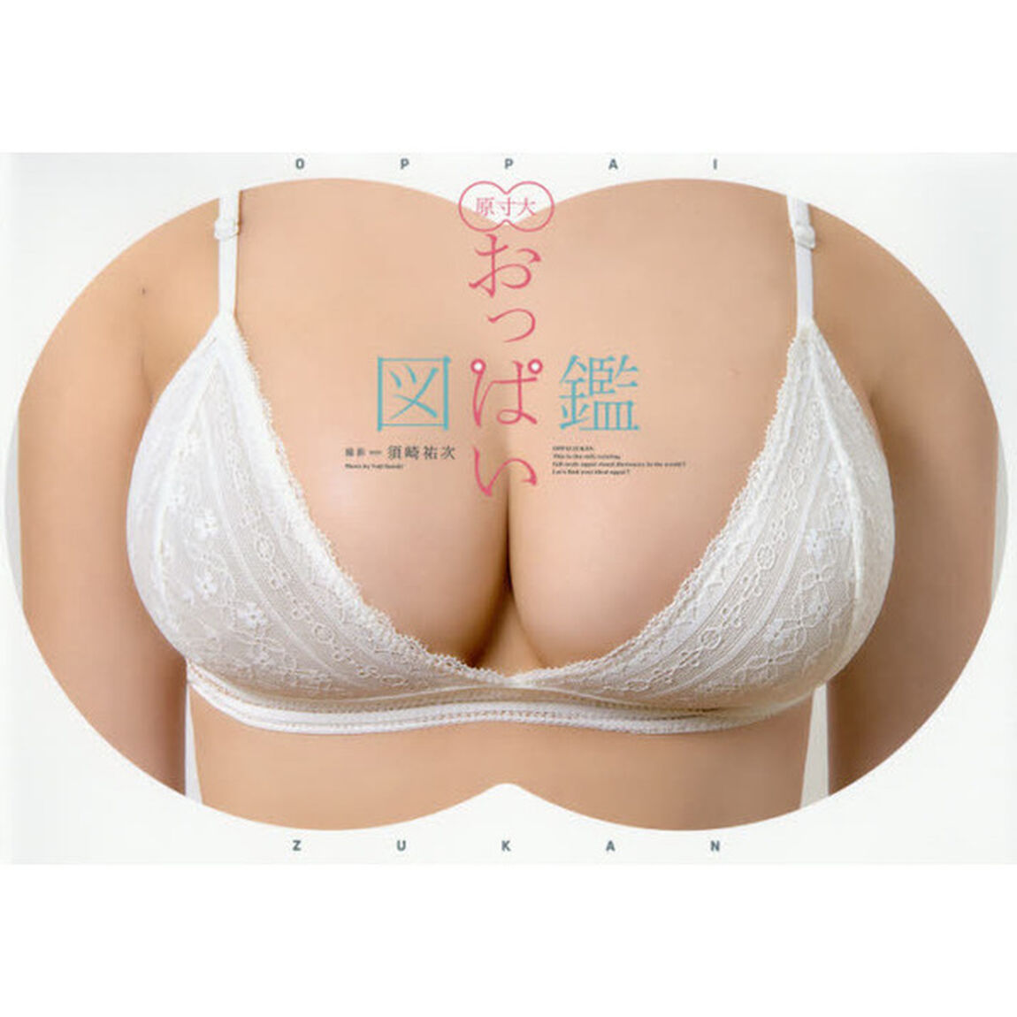 原寸大おっぱい図鑑