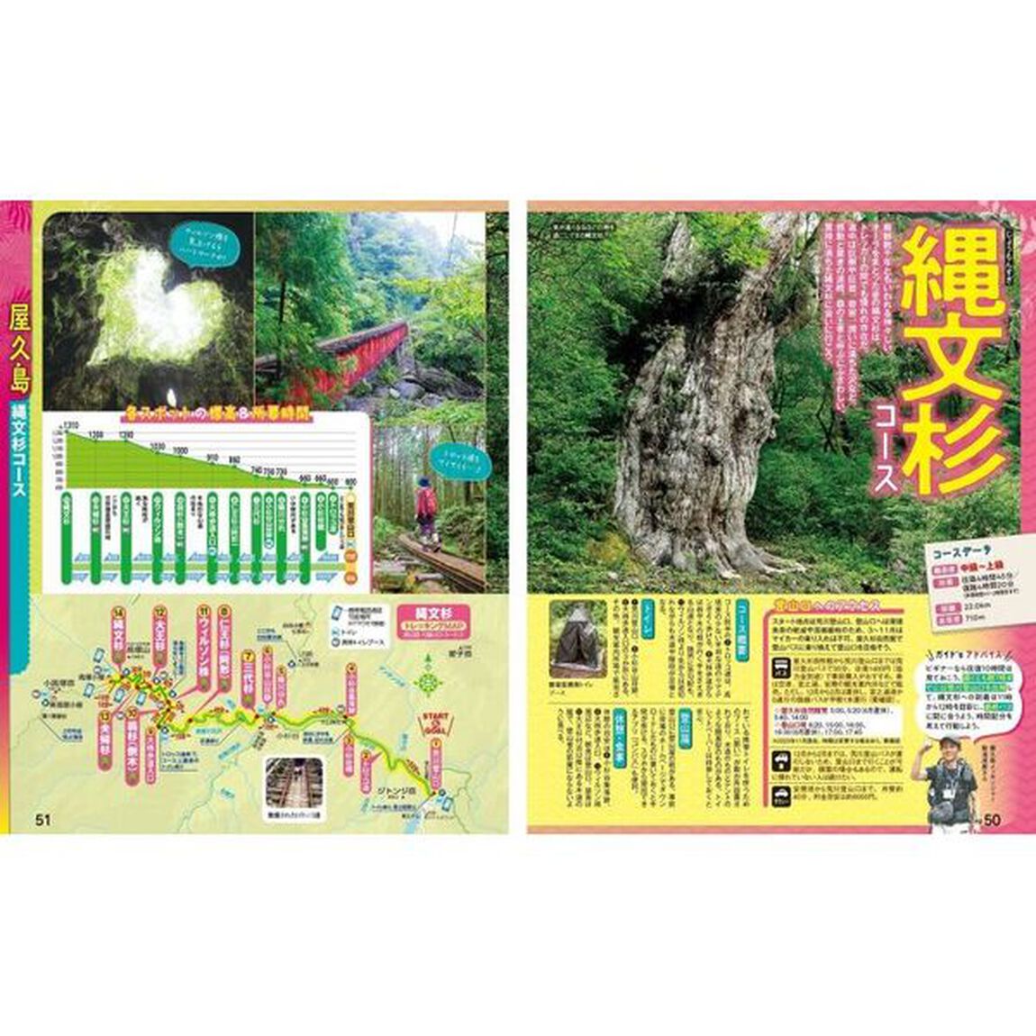奄美・屋久島　種子島　&rsquo;２５