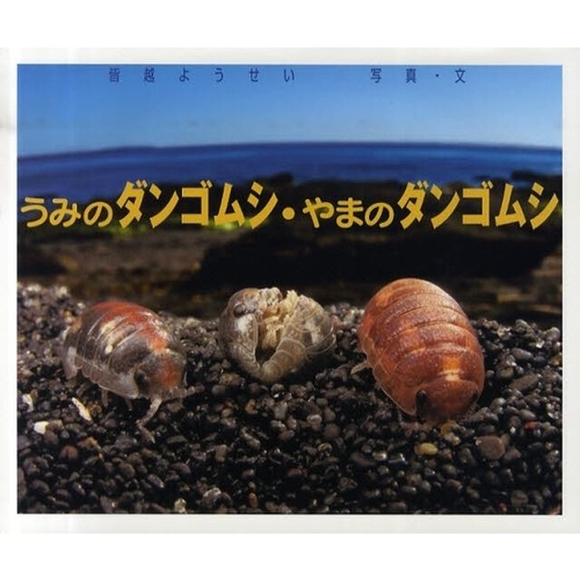 うみのダンゴムシ・やまのダンゴムシ