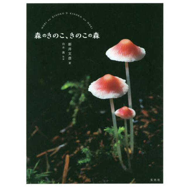 森のきのこ、きのこの森