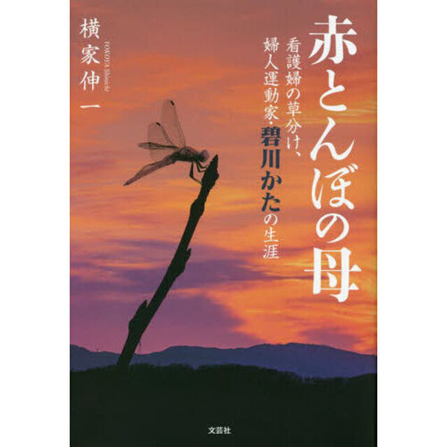 赤とんぼの母　看護婦の草分け、婦人運動家・碧川かたの生涯