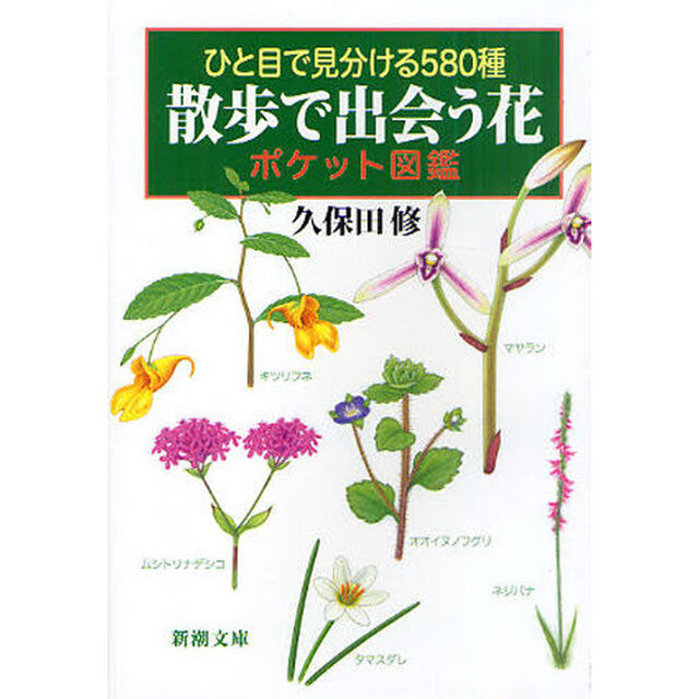 散歩で出会う花ポケット図鑑　ひと目で見分ける５８０種