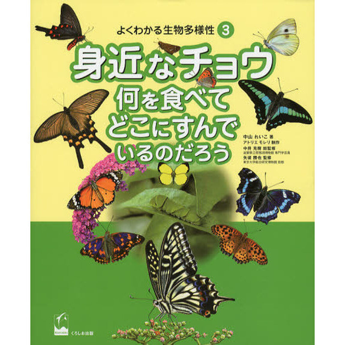 よくわかる生物多様性　３「身近なチョウ　何を食べてどこにすんでいるのだろう」
