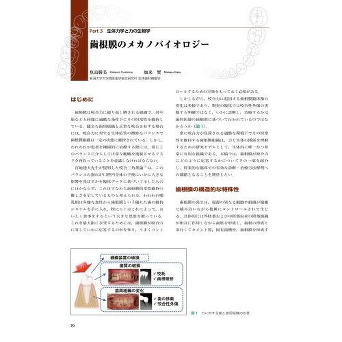 新・力を診る　臨床と研究の接点