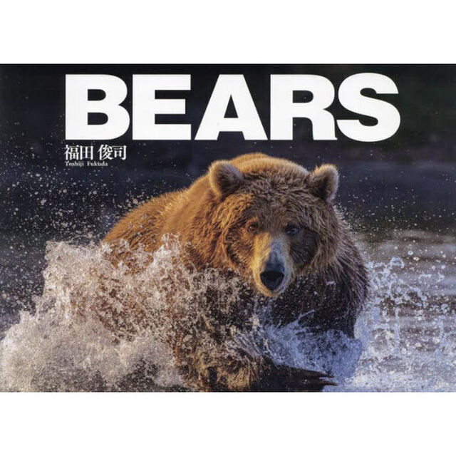 ＢＥＡＲＳ　福田俊司写真集