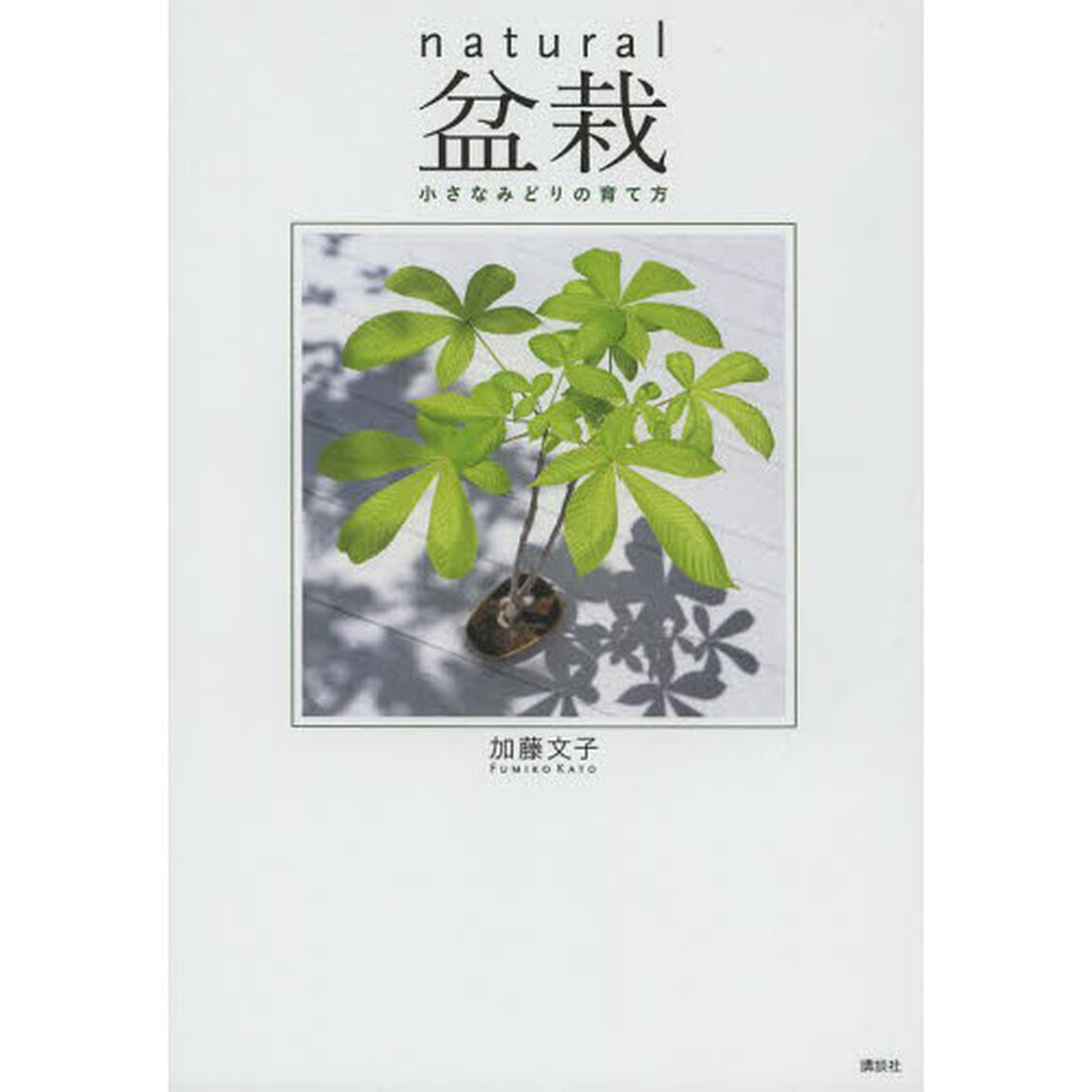 ｎａｔｕｒａｌ盆栽　小さなみどりの育て方