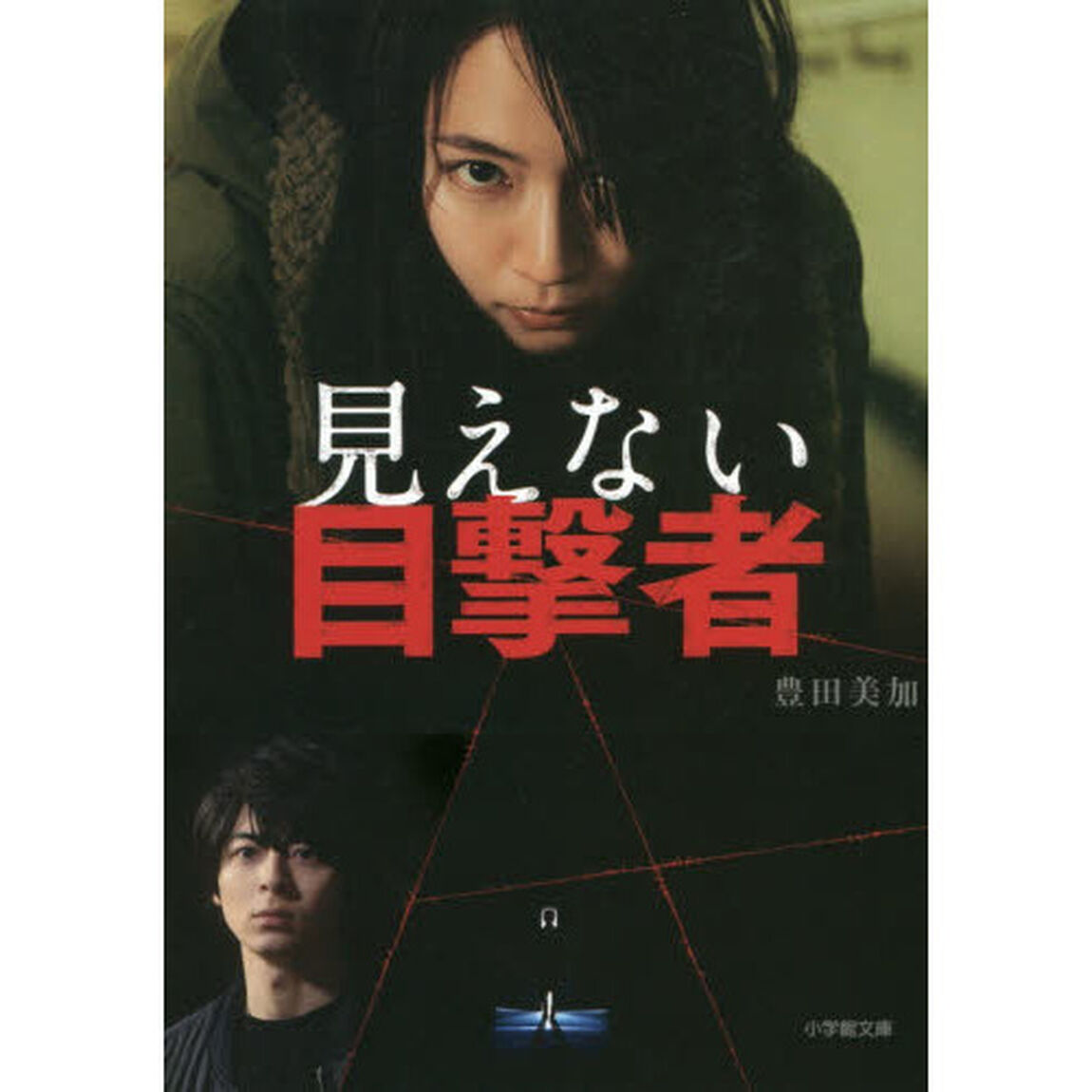 見えない目撃者