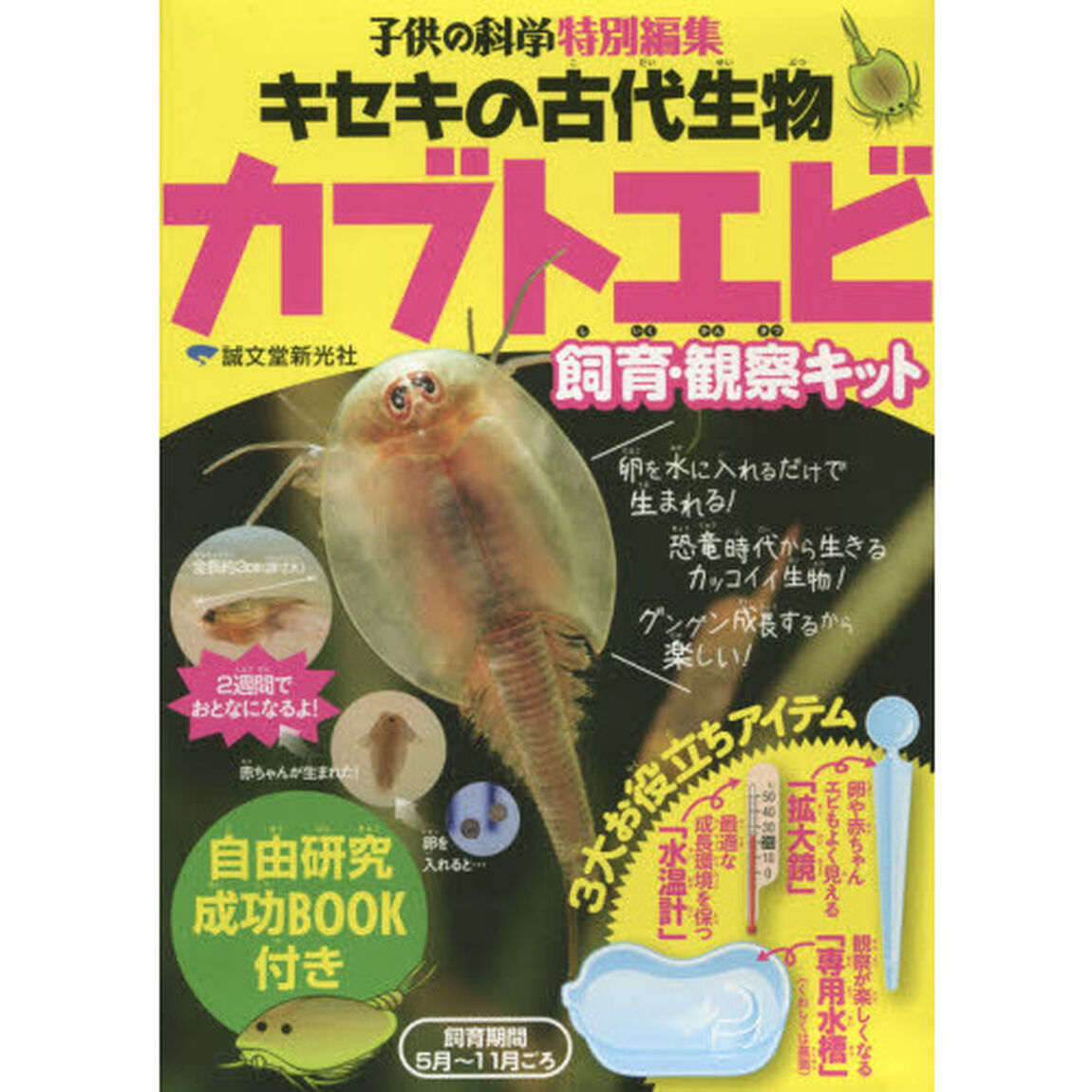 キセキの古代生物 カブトエビ飼育・観察キット:自由研究成功BOOK付き