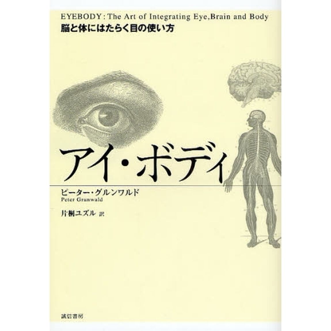 アイ・ボディ　脳と体にはたらく目の使い方