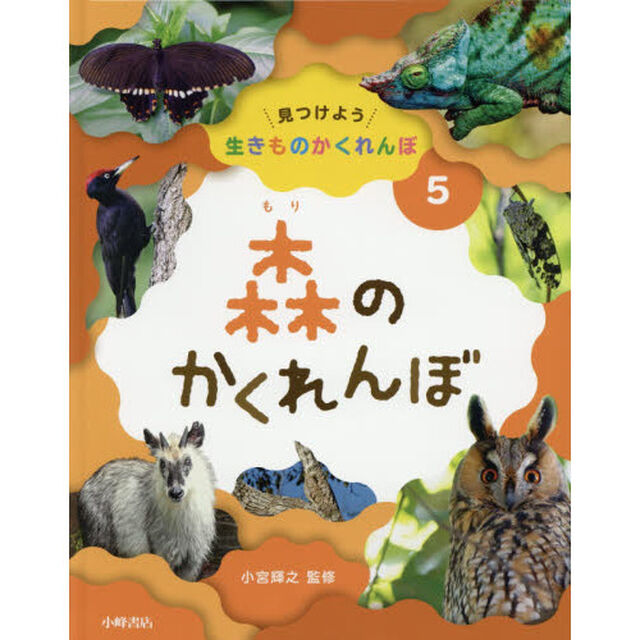 見つけよう生きものかくれんぼ　５「森のかくれんぼ」