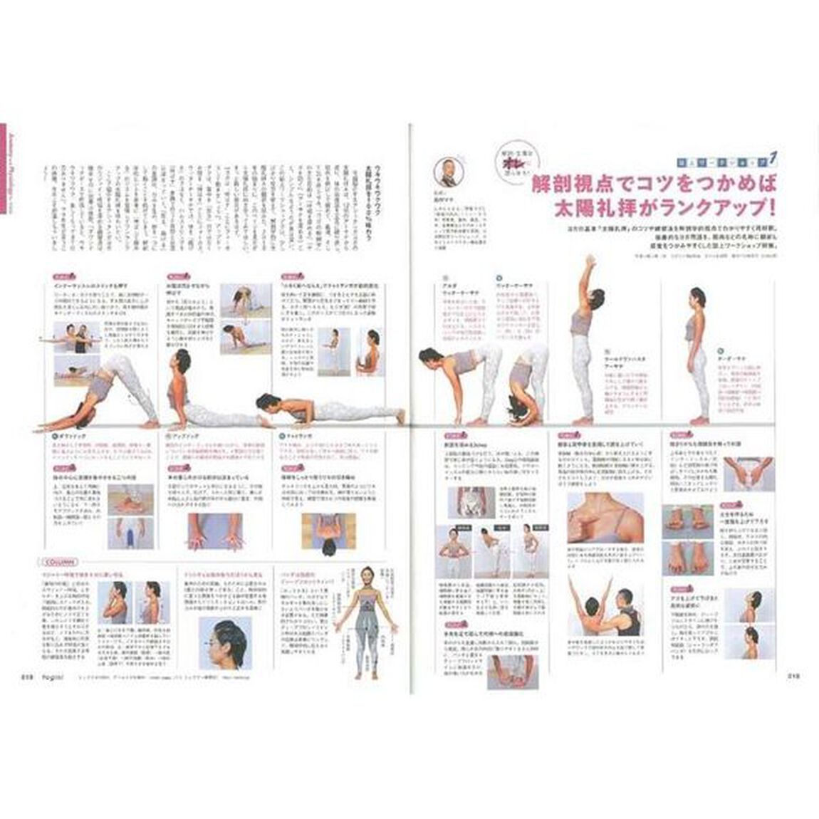 Ｙｏｇｉｎｉ　ヨガでシンプル・ビューティ・ライフ　ｖｏｌ．６２「ヨガのポーズに生かす解剖・生理学」