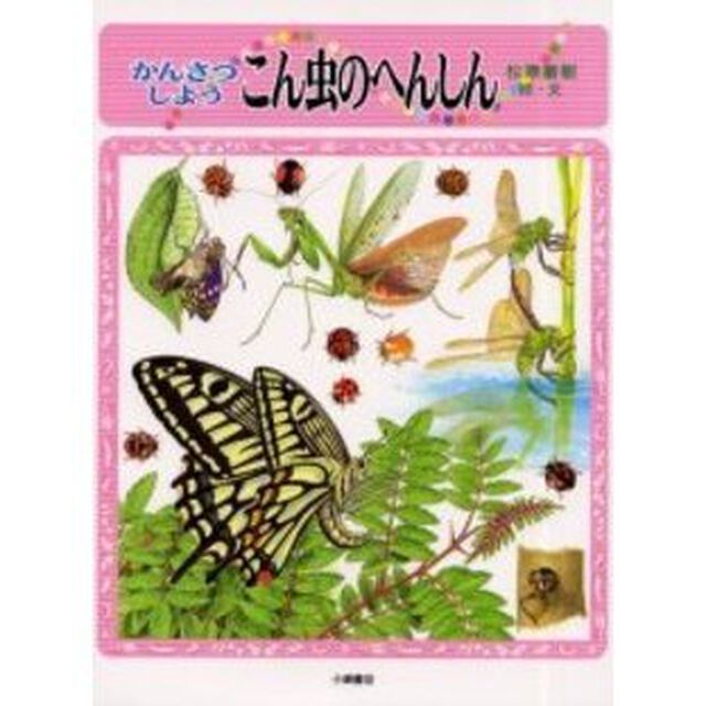 かんさつしようこん虫のへんしん