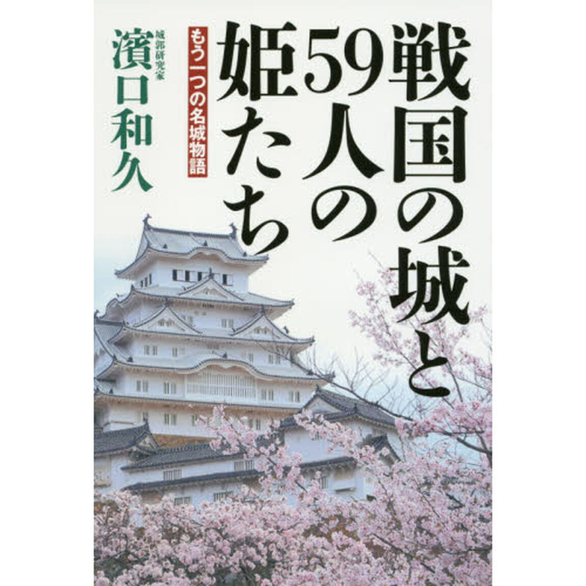 戦国の城と５９人の姫たち　もう一つの名城物語