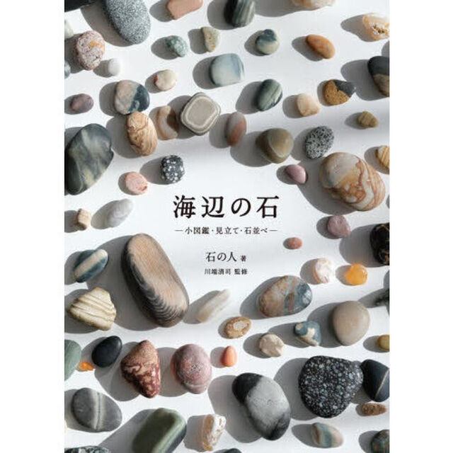 海辺の石　小図鑑・見立て・石並べ