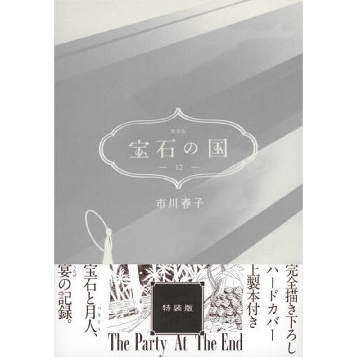 宝石の国（１２）特装版
