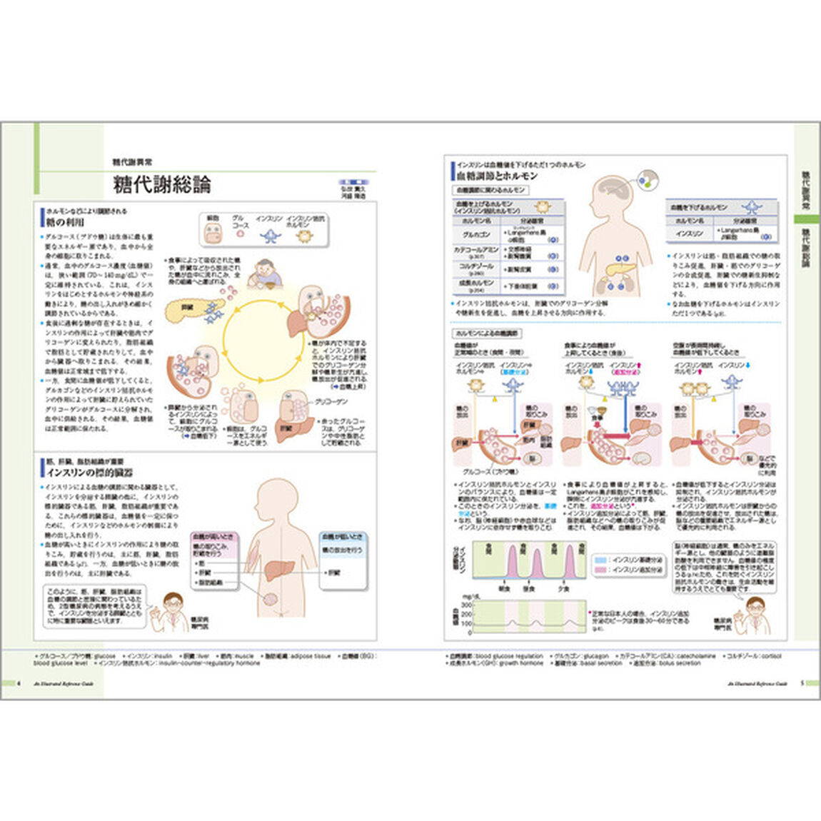病気がみえる vol.3 糖尿病・代謝・内分泌「第５版」「糖尿病・代謝・内分泌」