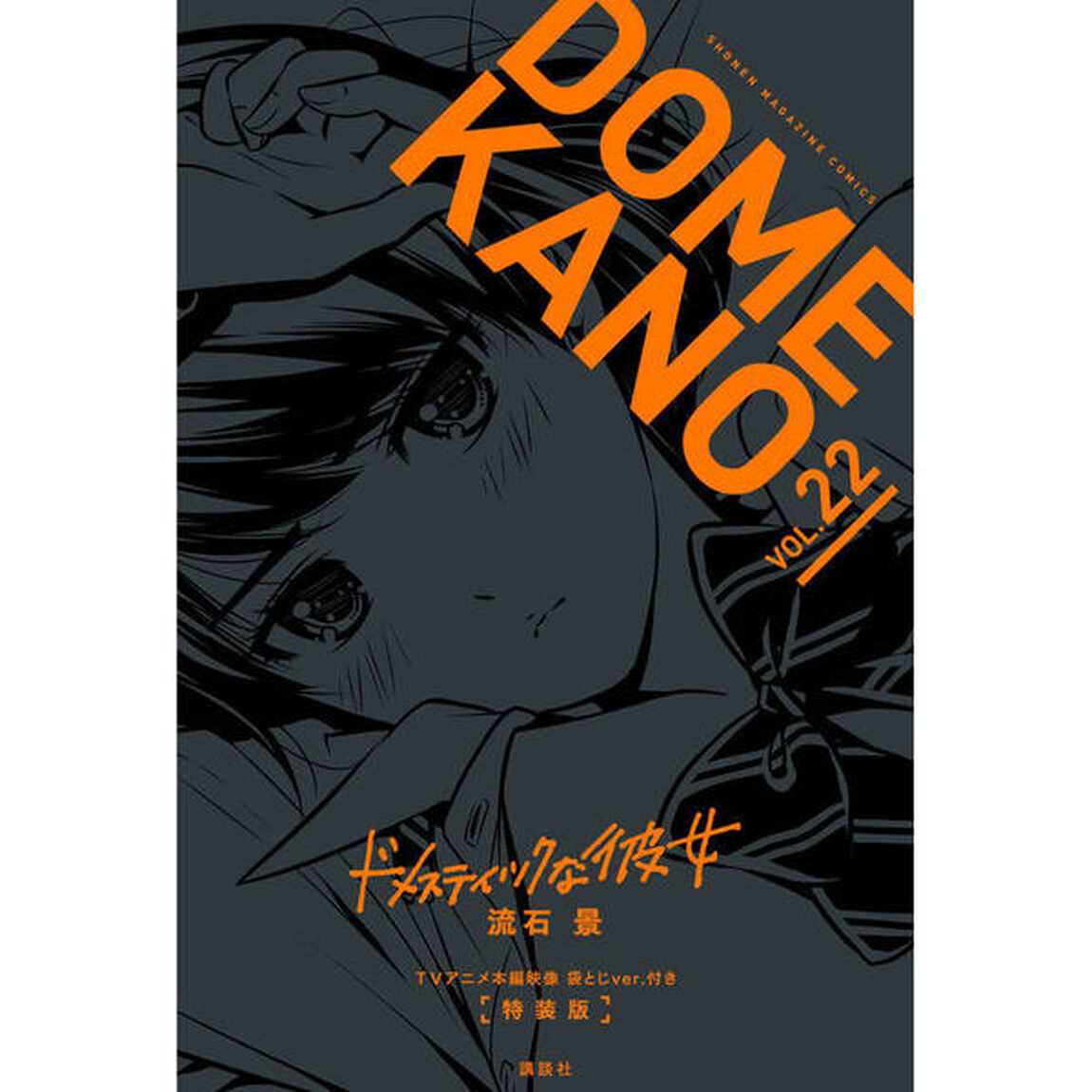ドメスティックな彼女　　２２　特装版