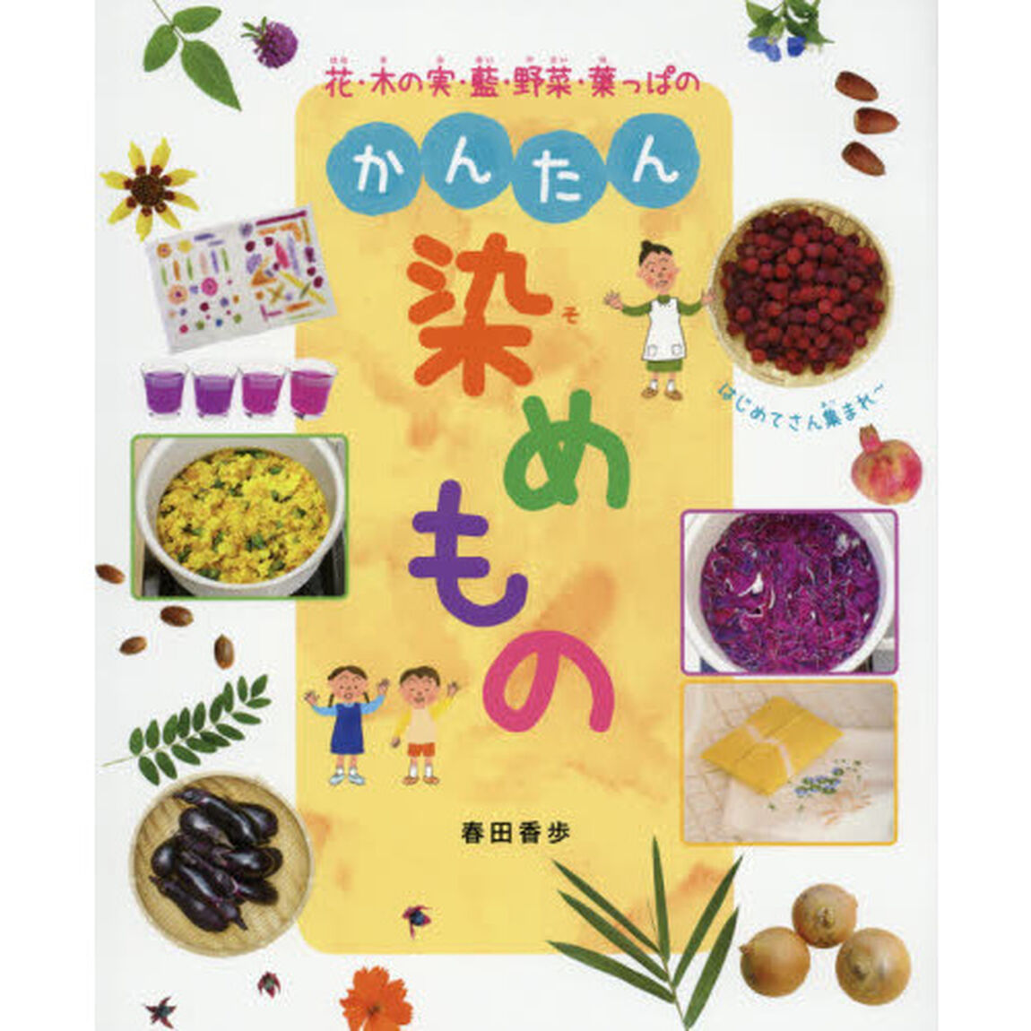 花・木の実・藍・野菜・葉っぱのかんたん染めもの