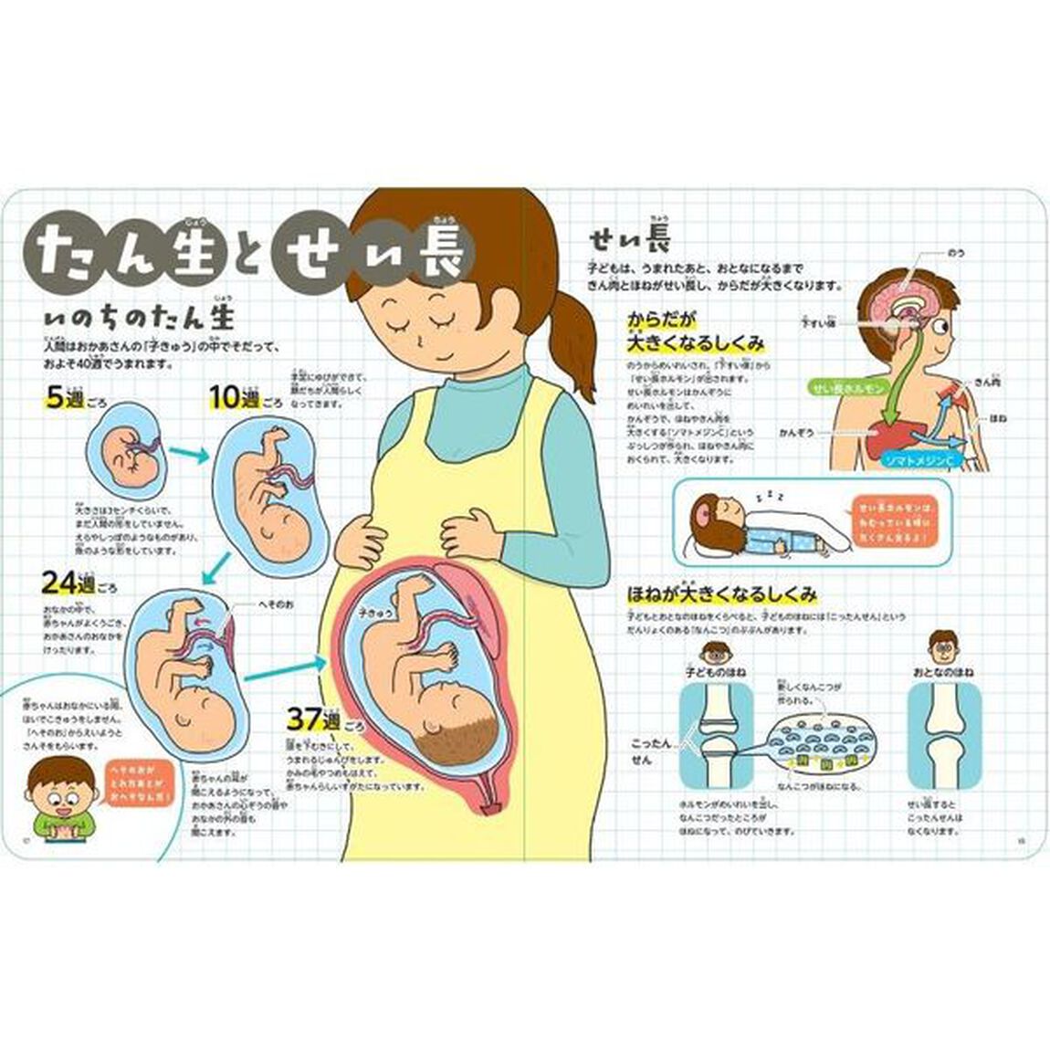 ちょうしんきでわかる！からだえほん