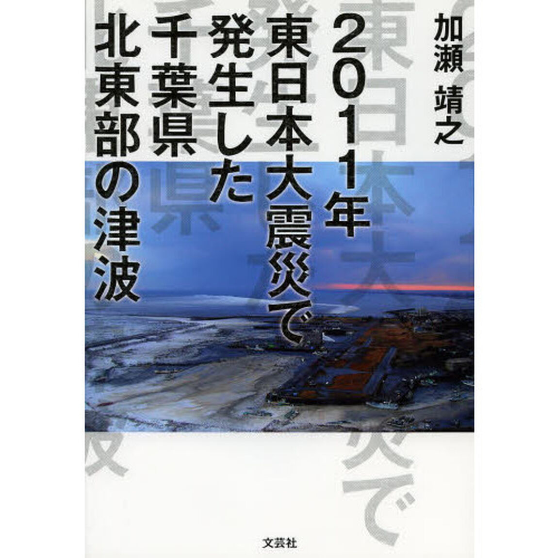 ２０１１年東日本大震災で発生した千葉県北東部の津波