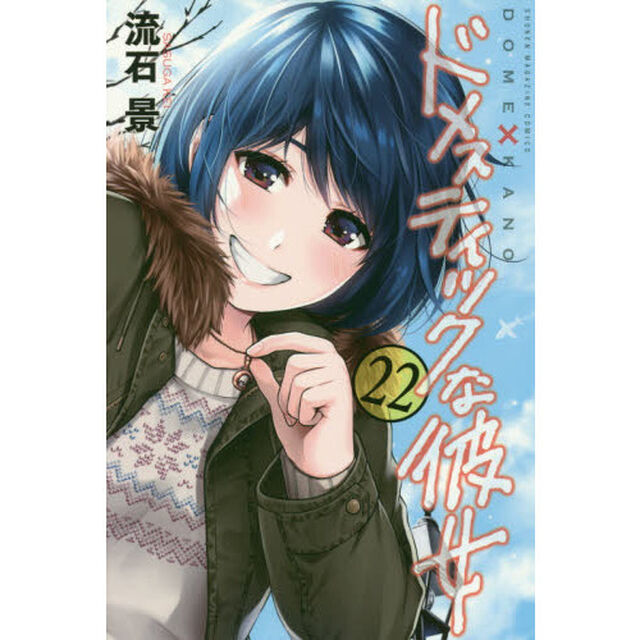 ドメスティックな彼女　２２