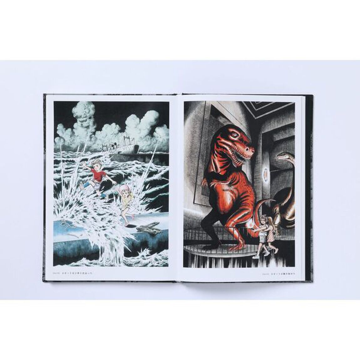 ＺＯＫＵ－ＳＨＩＮＧＯ　ＣＯＭＰＬＥＴＥ　ＢＯＸ　２巻セット