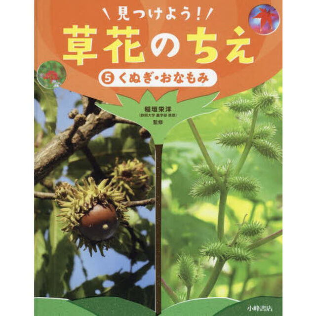 見つけよう！草花のちえ　５「くぬぎ・おなもみ」