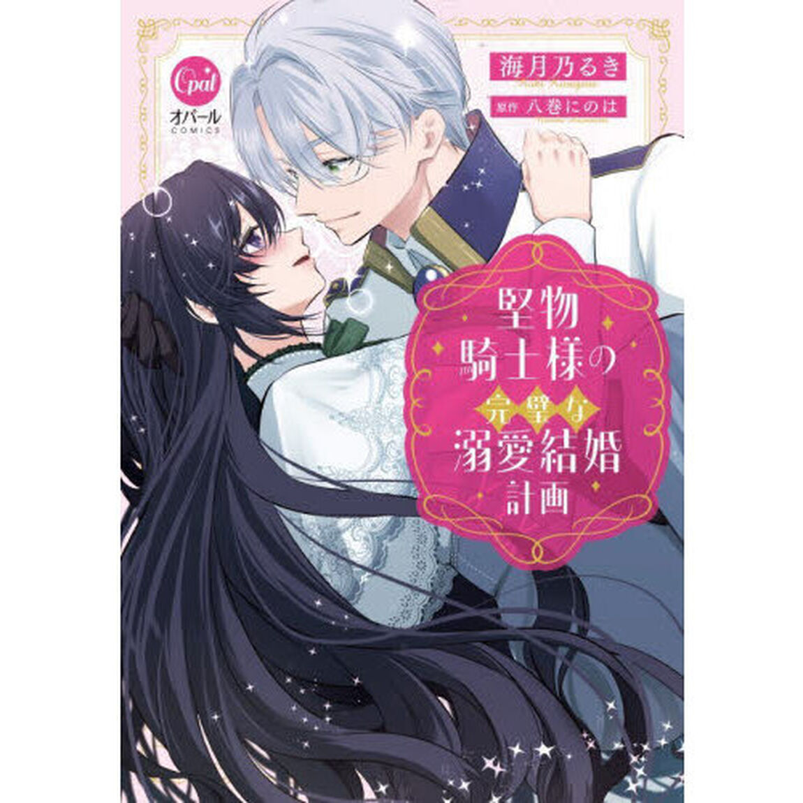 堅物騎士様の完璧な溺愛結婚計画