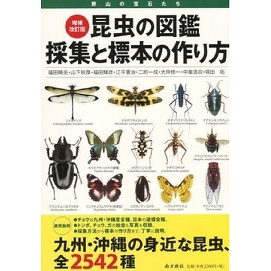 昆虫の図鑑採集と標本の作り方　野山の宝石たち　九州・沖縄の身近な昆虫、全２５４２種「増補改訂版」