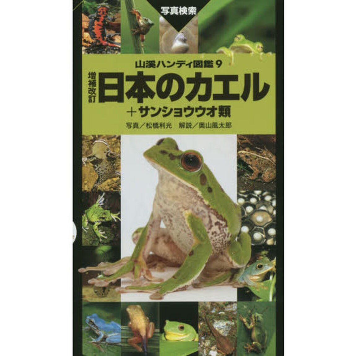 日本のカエル　＋サンショウウオ類　写真検索「増補改訂」