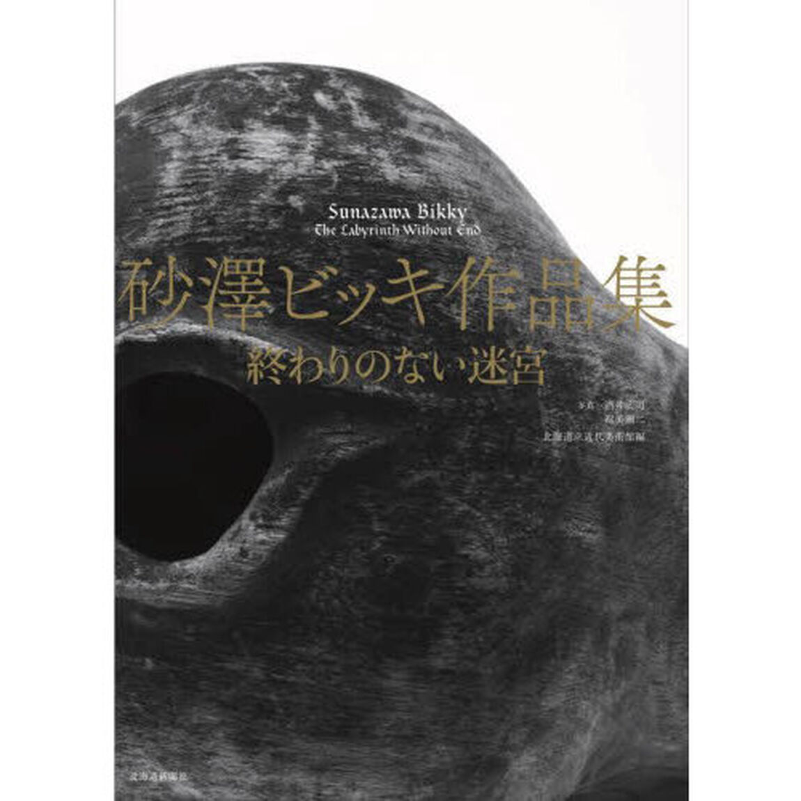 終わりのない迷宮　砂澤ビッキ作品集