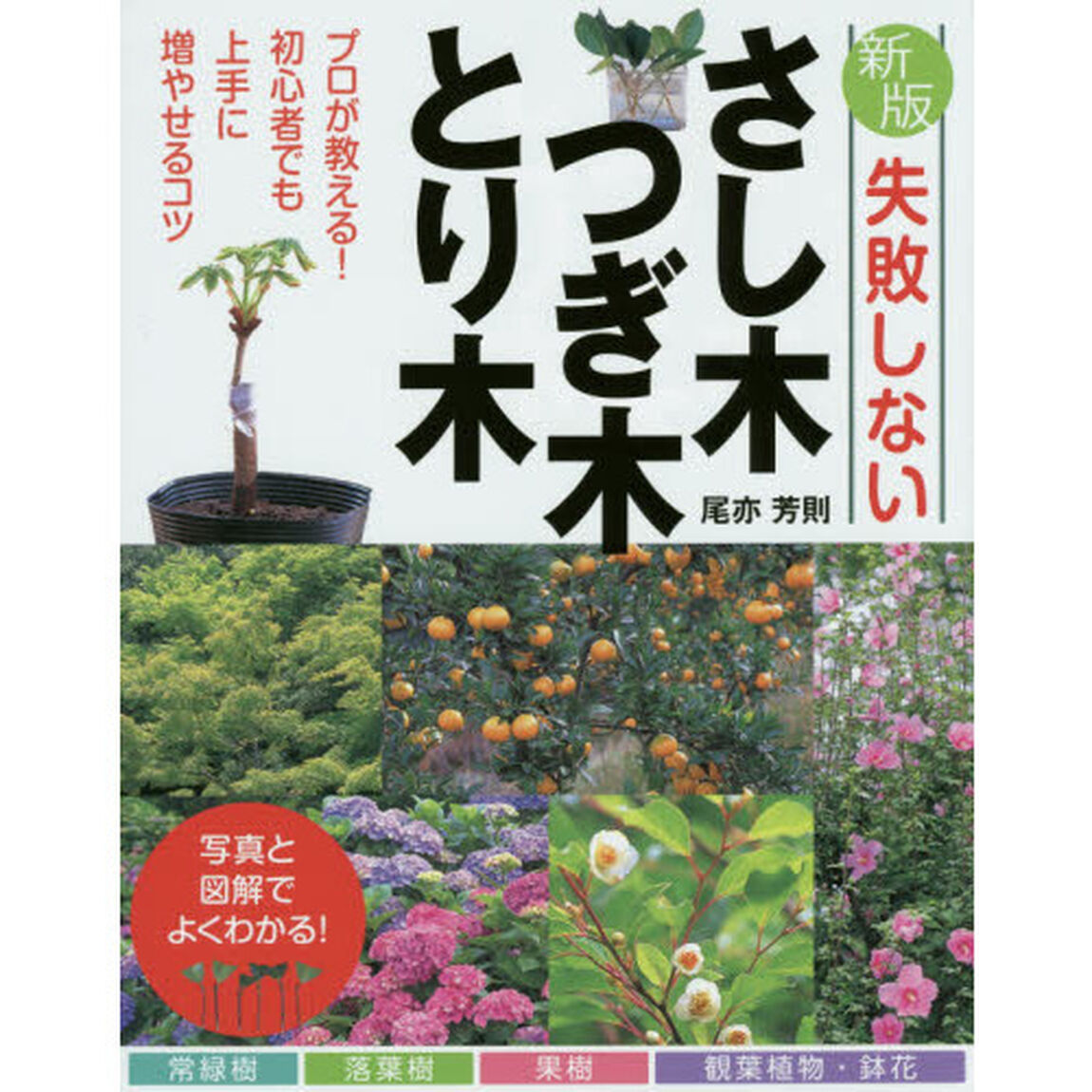 失敗しないさし木・つぎ木・とり木「新版」