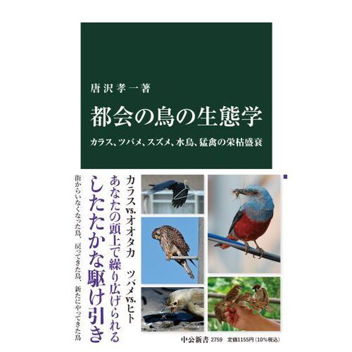 都会の鳥の生態学　カラス、ツバメ、スズメ、水鳥、猛禽の栄枯盛衰