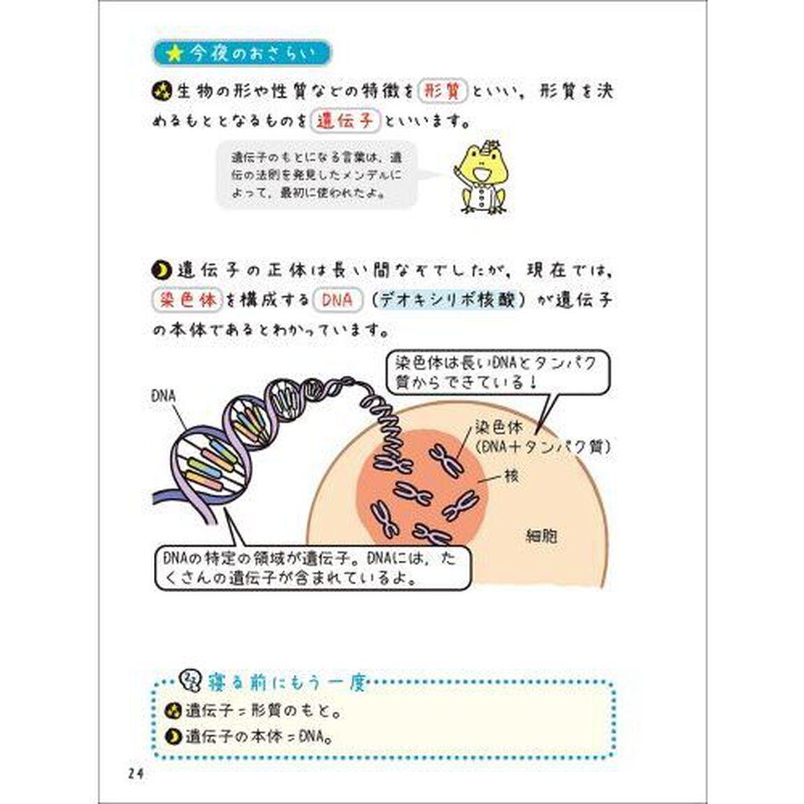 寝る前５分暗記ブック高校生物基礎　頭にしみこむメモリータイム！「改訂版」