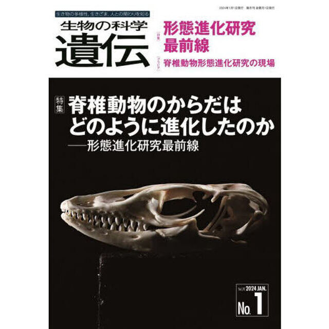 生物の科学遺伝　Ｖｏｌ．７８Ｎｏ．１（２０２４ＪＡＮ．）「脊椎動物のからだはどのように進化したのか　形態進化研究最前線」