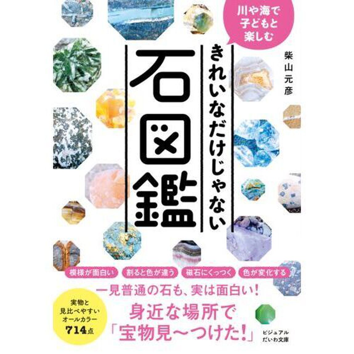 きれいなだけじゃない石図鑑　川や海で子どもと楽しむ