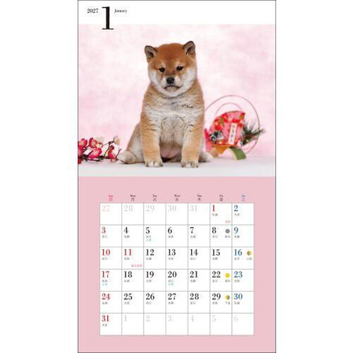 &rsquo;２７　カレンダーかわいい柴犬
