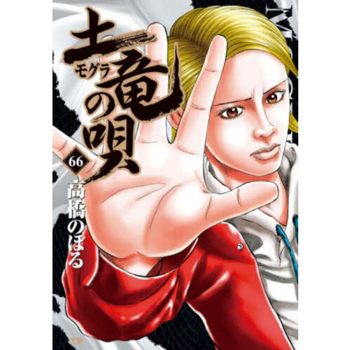 土竜の唄　６６