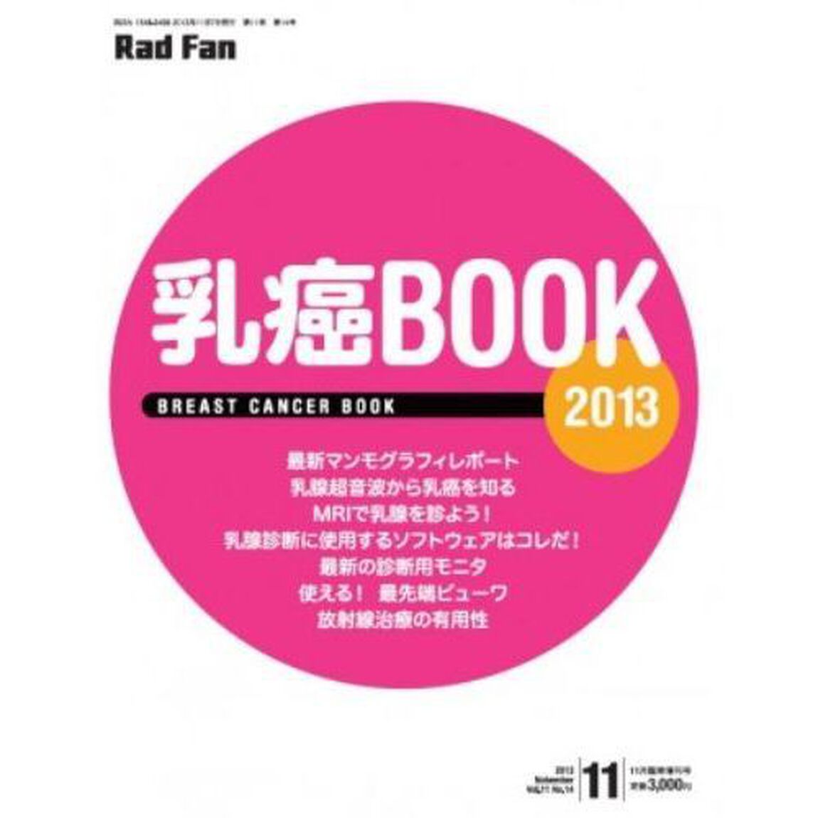 &rsquo;１３　乳癌ＢＯＯＫ