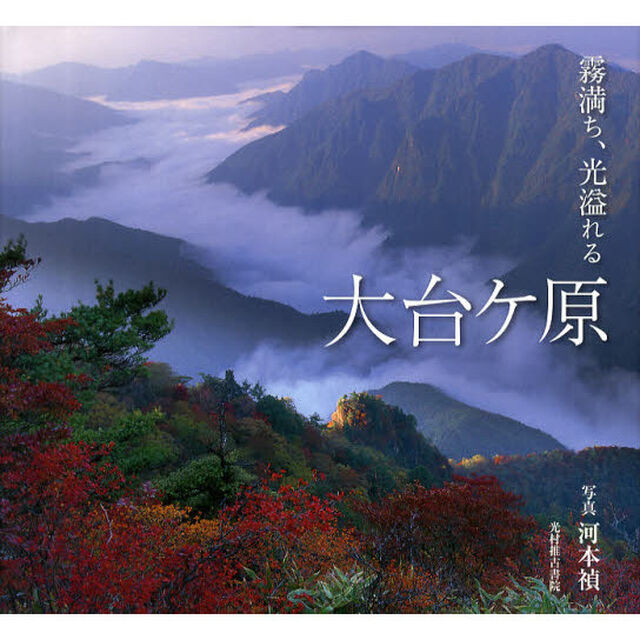 霧満ち、光溢れる 大台ケ原