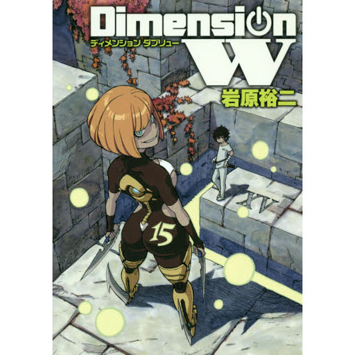 Ｄｉｍｅｎｓｉｏｎ　Ｗ　　１５