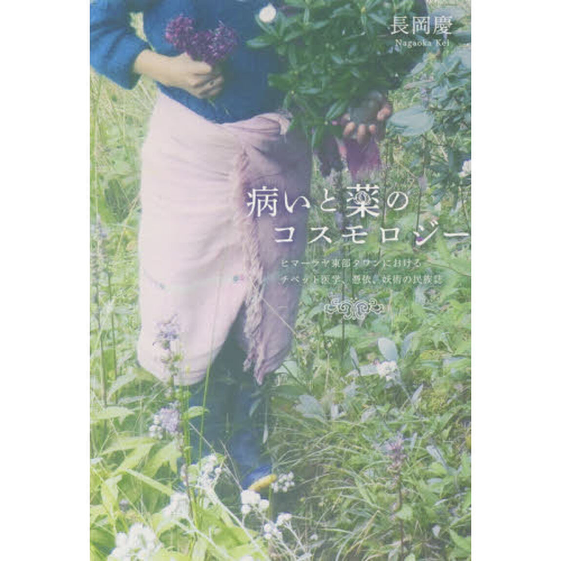 病いと薬のコスモロジー　ヒマーラヤ東部タワンにおけるチベット医学、憑依、妖術の民族誌