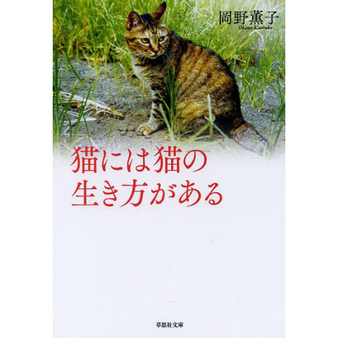 猫には猫の生き方がある